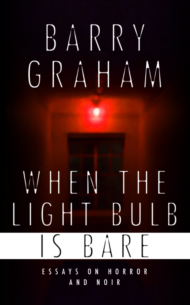 book cover art: photograph of a window at the end of a corridor. a single red bulb illuminates the space beneath.